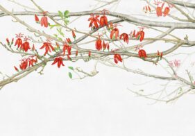 MARGHERITA LEONI: MATA PAU VERTICALE