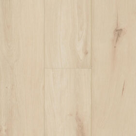 OCEAN+ 12 XL GYANT LIGHT NATURAL V4