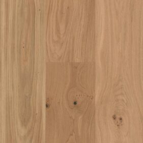 EXCLUSIFS XXL NATURE