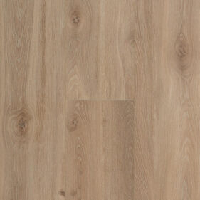 CONNECT 8 XL BLOOM LIGHT BROWN V4