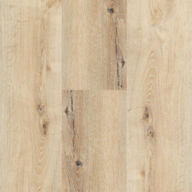 SPIRIT PRO GLUEDOWN 55 COUNTRY HONEY LAMME V4