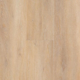 SPIRIT PRO GLUEDOWN 55 ELITE HONEY LAMME V4