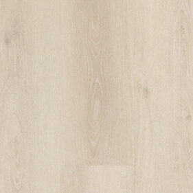 SPIRIT XL GLUEDOWN 55 YOSEMITE LAMME V4