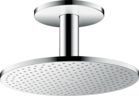 DOUCHETTE DE TETE UNIVERSAL AVEC BRAS PLAFOND 1 JET 250 POWDERRAIN